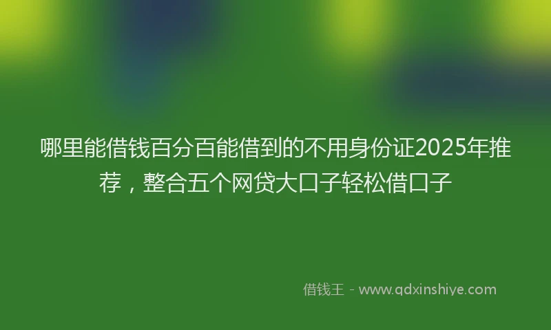 哪里能借钱百分百能借到的不用身份证2025年推荐，整合五个网贷大口子轻松借口子