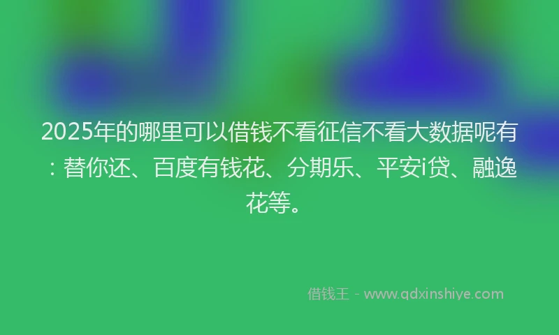 2025年的哪里可以借钱不看征信不看大数据呢有：替你还、百度有钱花、分期乐、平安i贷、融逸花等。