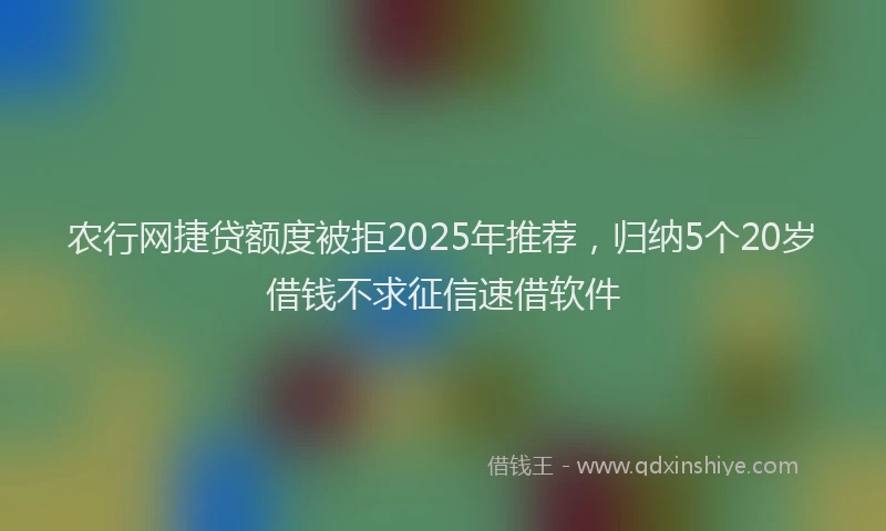农行网捷贷额度被拒2025年推荐，归纳5个20岁借钱不求征信速借软件