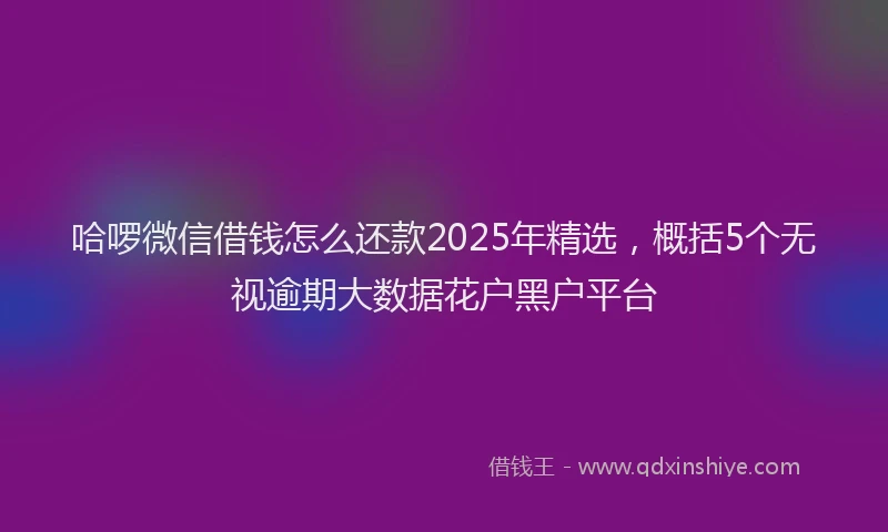 哈啰微信借钱怎么还款2025年精选，概括5个无视逾期大数据花户黑户平台