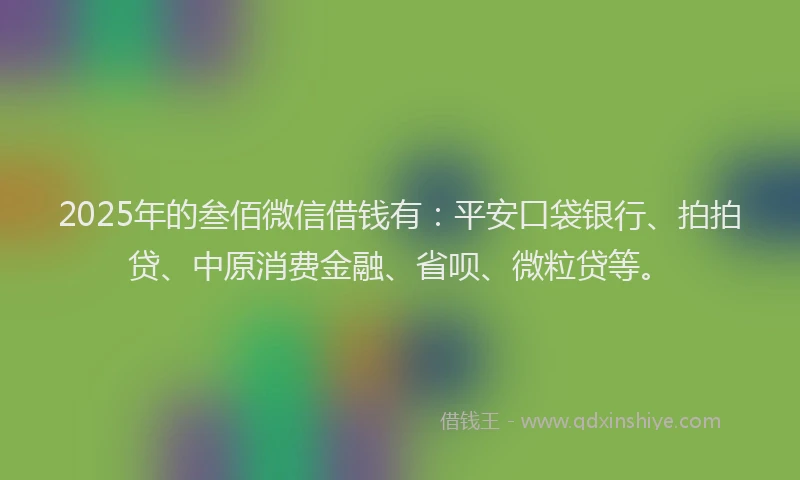 2025年的叁佰微信借钱有：平安口袋银行、拍拍贷、中原消费金融、省呗、微粒贷等。