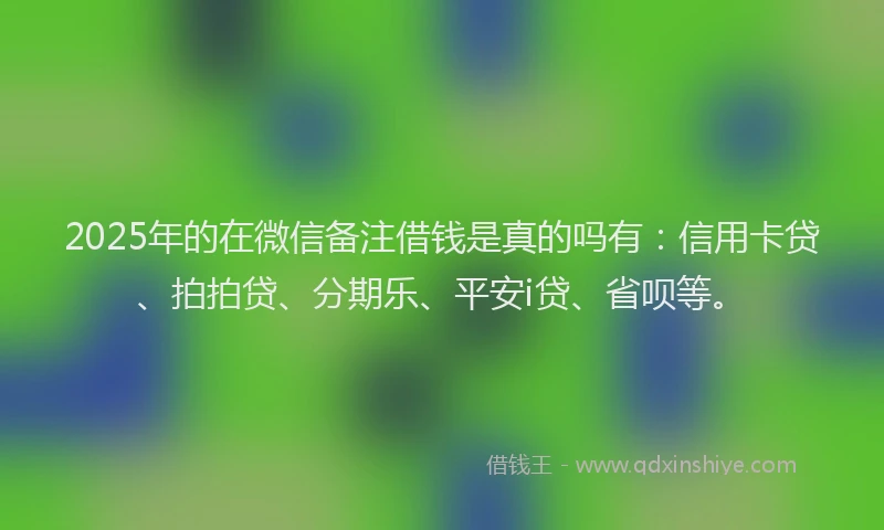 2025年的在微信备注借钱是真的吗有：信用卡贷、拍拍贷、分期乐、平安i贷、省呗等。