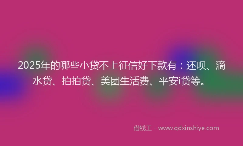 2025年的哪些小贷不上征信好下款有：还呗、滴水贷、拍拍贷、美团生活费、平安i贷等。