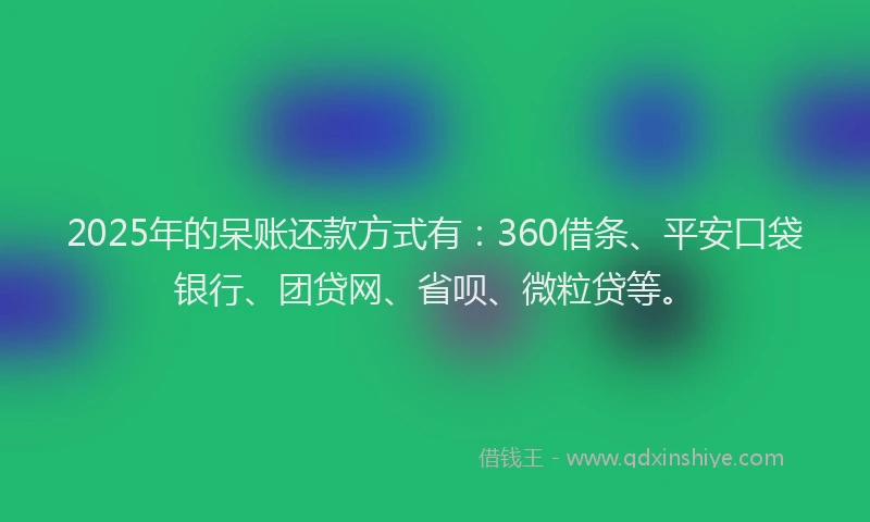 2025年的呆账还款方式有：360借条、平安口袋银行、团贷网、省呗、微粒贷等。