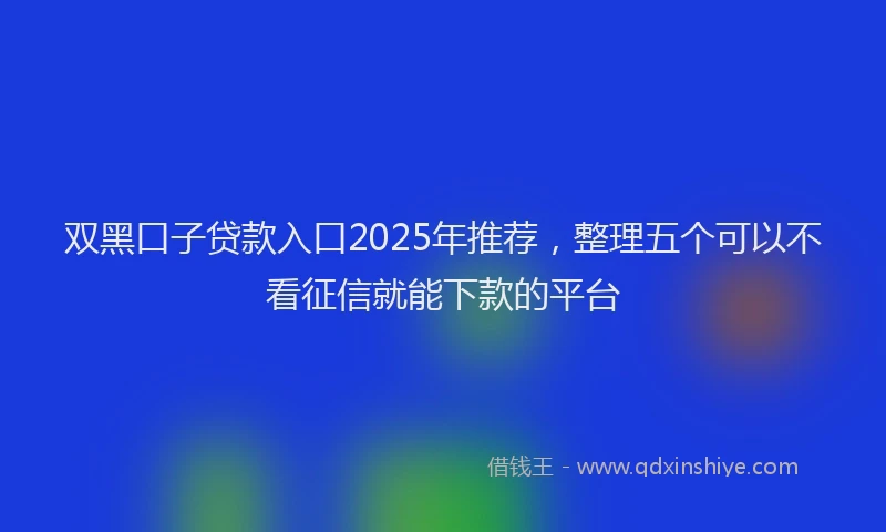 双黑口子贷款入口2025年推荐，整理五个可以不看征信就能下款的平台