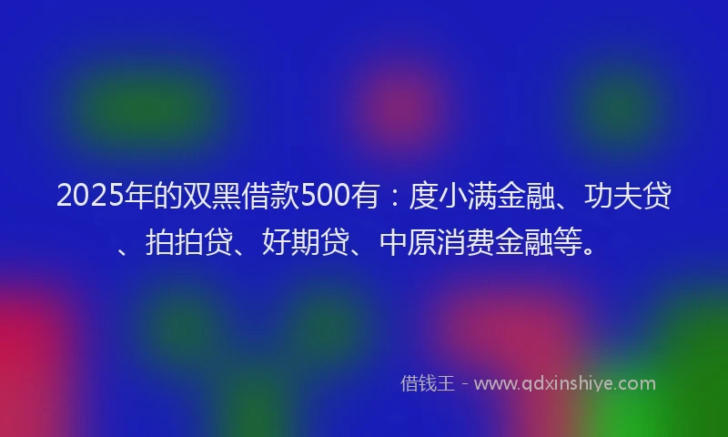 2025年的双黑借款500有：度小满金融、功夫贷、拍拍贷、好期贷、中原消费金融等。