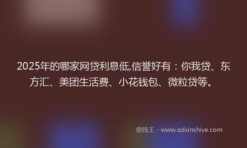 2025年的哪家网贷利息低,信誉好有：你我贷、东方汇、美团生活费、小花钱包、微粒贷等。
