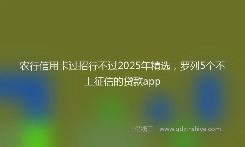 农行信用卡过招行不过2025年精选，罗列5个不上征信的贷款app
