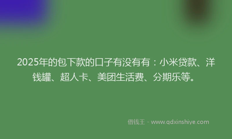 2025年的包下款的口子有没有有：小米贷款、洋钱罐、超人卡、美团生活费、分期乐等。