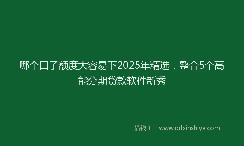 哪个口子额度大容易下2025年精选，整合5个高能分期贷款软件新秀