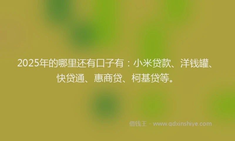 2025年的哪里还有口子有：小米贷款、洋钱罐、快贷通、惠商贷、柯基贷等。