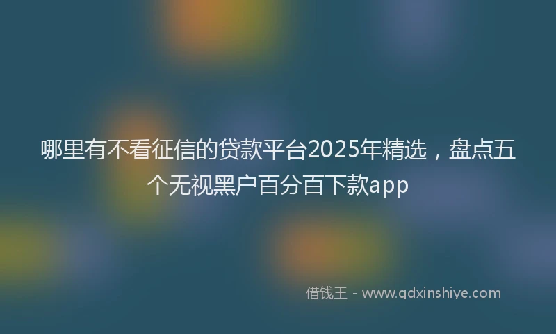 哪里有不看征信的贷款平台2025年精选，盘点五个无视黑户百分百下款app