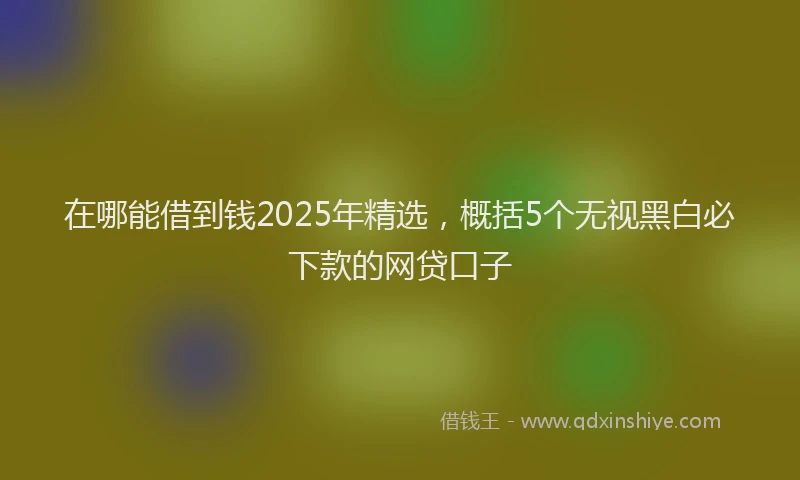 在哪能借到钱2025年精选，概括5个无视黑白必下款的网贷口子