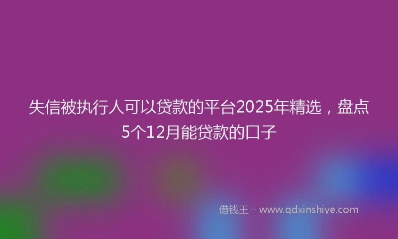 失信被执行人可以贷款的平台2025年精选，盘点5个12月能贷款的口子