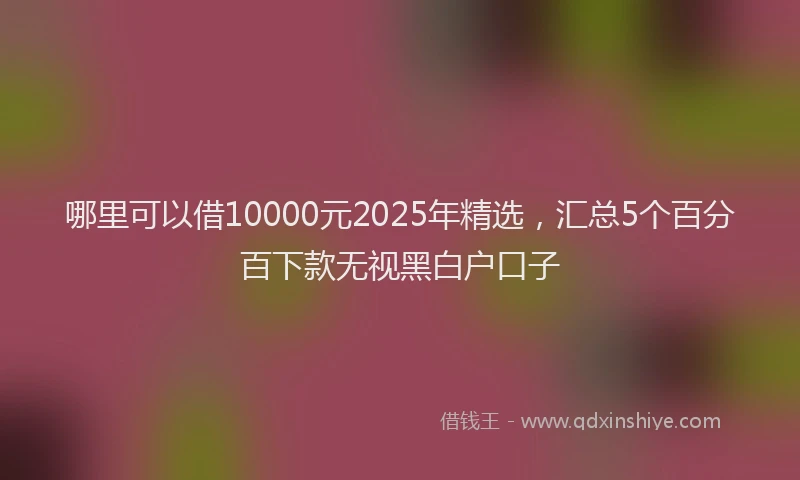 哪里可以借10000元2025年精选，汇总5个百分百下款无视黑白户口子