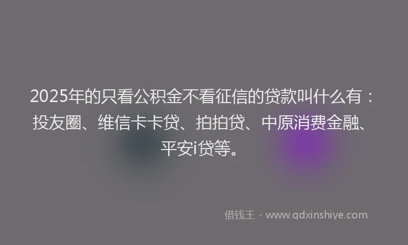 2025年的只看公积金不看征信的贷款叫什么有：投友圈、维信卡卡贷、拍拍贷、中原消费金融、平安i贷等。