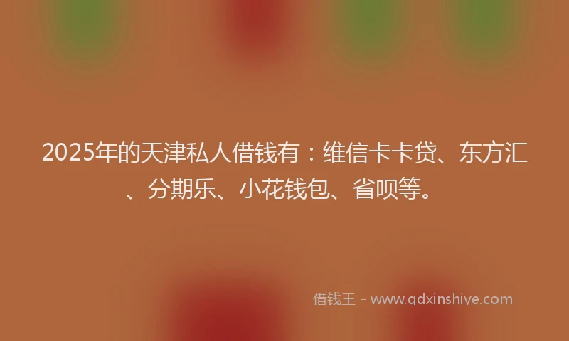 2025年的天津私人借钱有：维信卡卡贷、东方汇、分期乐、小花钱包、省呗等。