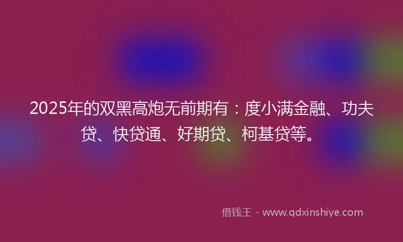 2025年的双黑高炮无前期有：度小满金融、功夫贷、快贷通、好期贷、柯基贷等。