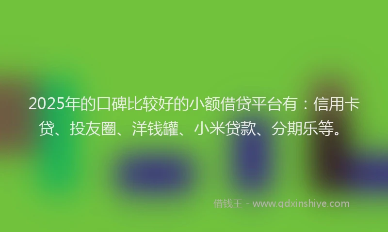 2025年的口碑比较好的小额借贷平台有：信用卡贷、投友圈、洋钱罐、小米贷款、分期乐等。