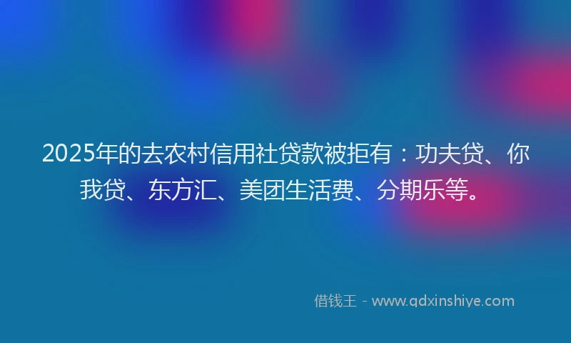 2025年的去农村信用社贷款被拒有：功夫贷、你我贷、东方汇、美团生活费、分期乐等。