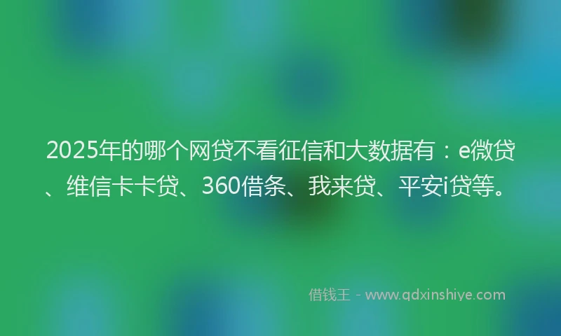 2025年的哪个网贷不看征信和大数据有：e微贷、维信卡卡贷、360借条、我来贷、平安i贷等。