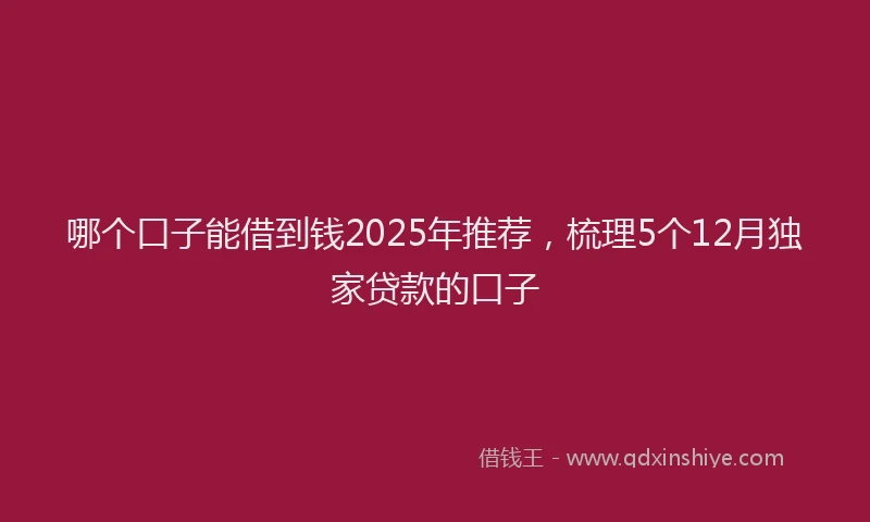 哪个口子能借到钱2025年推荐，梳理5个12月独家贷款的口子