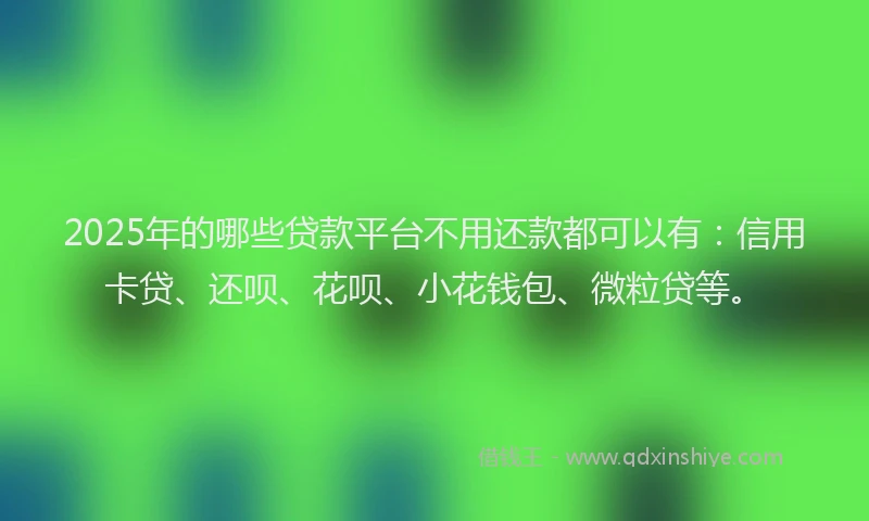 2025年的哪些贷款平台不用还款都可以有：信用卡贷、还呗、花呗、小花钱包、微粒贷等。
