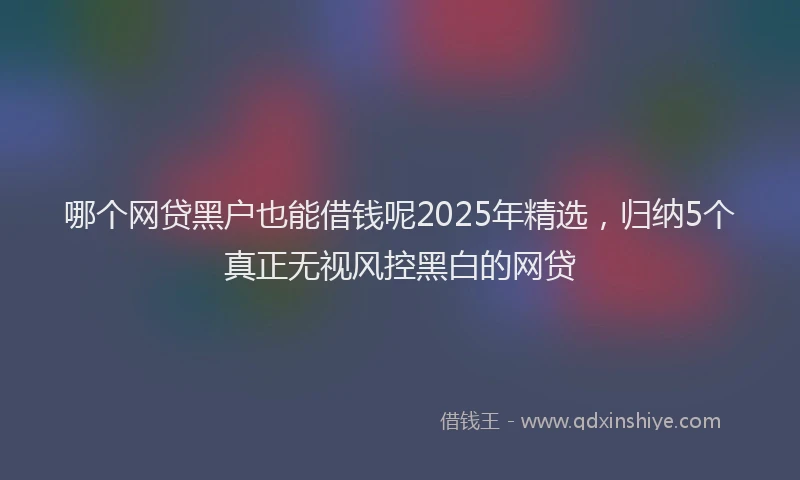 哪个网贷黑户也能借钱呢2025年精选，归纳5个真正无视风控黑白的网贷