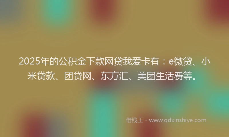 2025年的公积金下款网贷我爱卡有：e微贷、小米贷款、团贷网、东方汇、美团生活费等。
