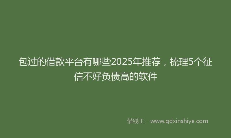 包过的借款平台有哪些2025年推荐，梳理5个征信不好负债高的软件