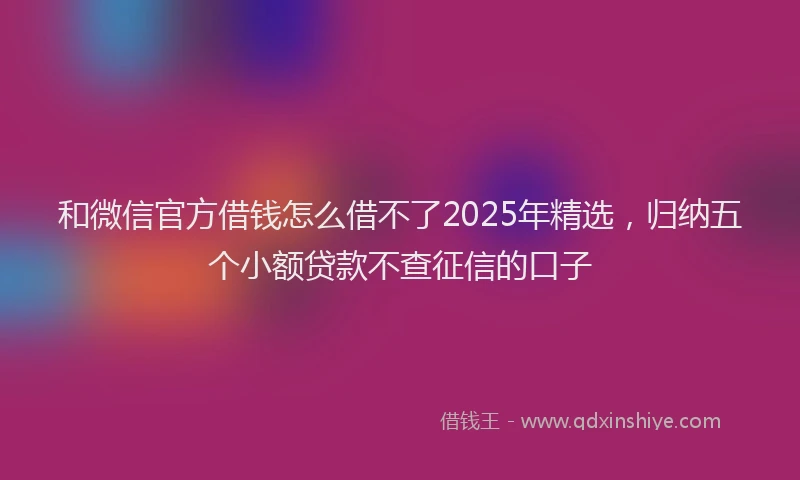 和微信官方借钱怎么借不了2025年精选，归纳五个小额贷款不查征信的口子