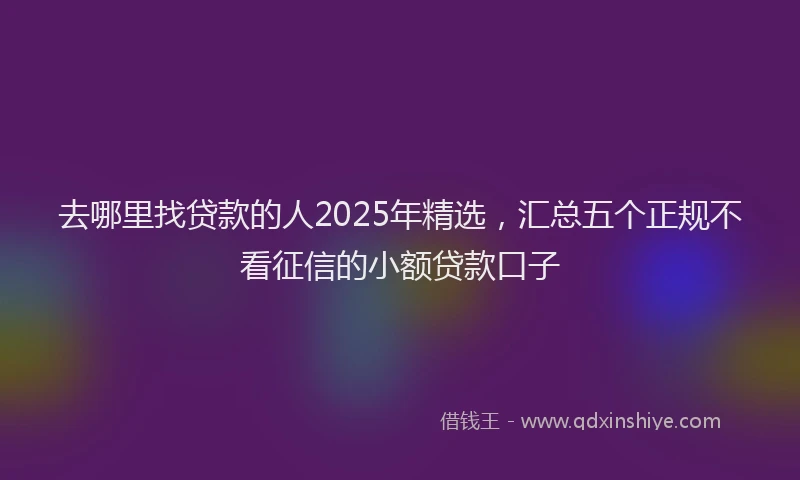 去哪里找贷款的人2025年精选，汇总五个正规不看征信的小额贷款口子