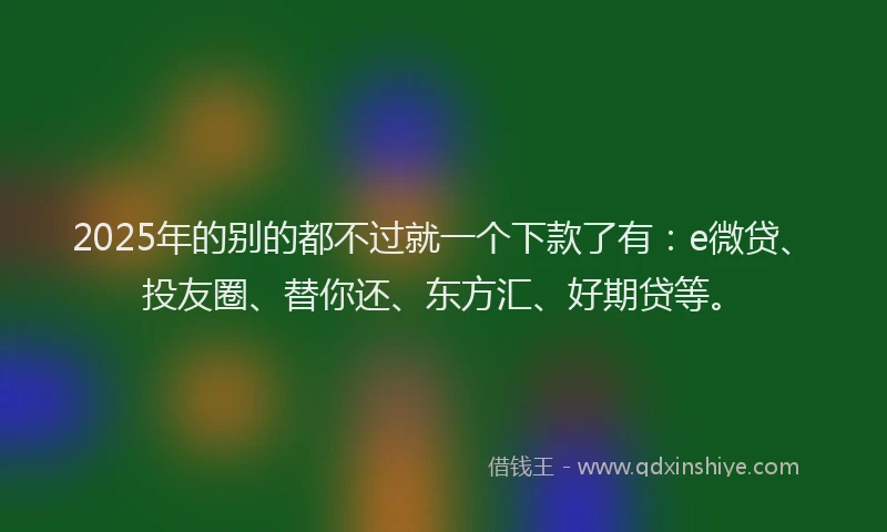 2025年的别的都不过就一个下款了有：e微贷、投友圈、替你还、东方汇、好期贷等。