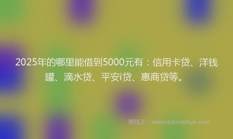 2025年的哪里能借到5000元有：信用卡贷、洋钱罐、滴水贷、平安i贷、惠商贷等。