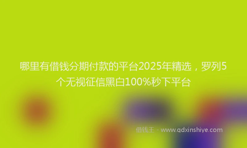 哪里有借钱分期付款的平台2025年精选，罗列5个无视征信黑白100%秒下平台