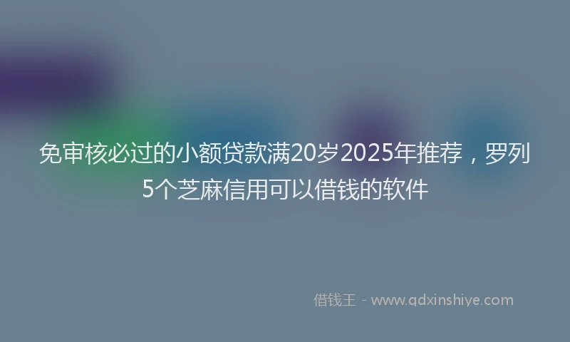 免审核必过的小额贷款满20岁2025年推荐，罗列5个芝麻信用可以借钱的软件