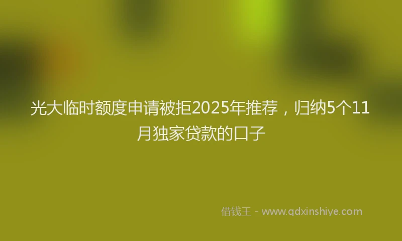 光大临时额度申请被拒2025年推荐，归纳5个11月独家贷款的口子