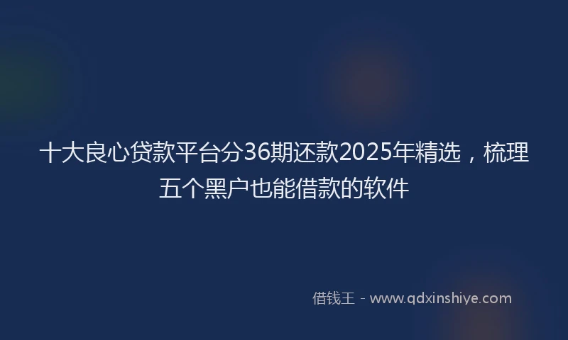 十大良心贷款平台分36期还款2025年精选，梳理五个黑户也能借款的软件