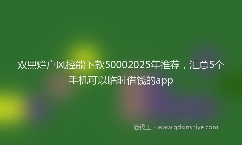 双黑烂户风控能下款50002025年推荐，汇总5个手机可以临时借钱的app