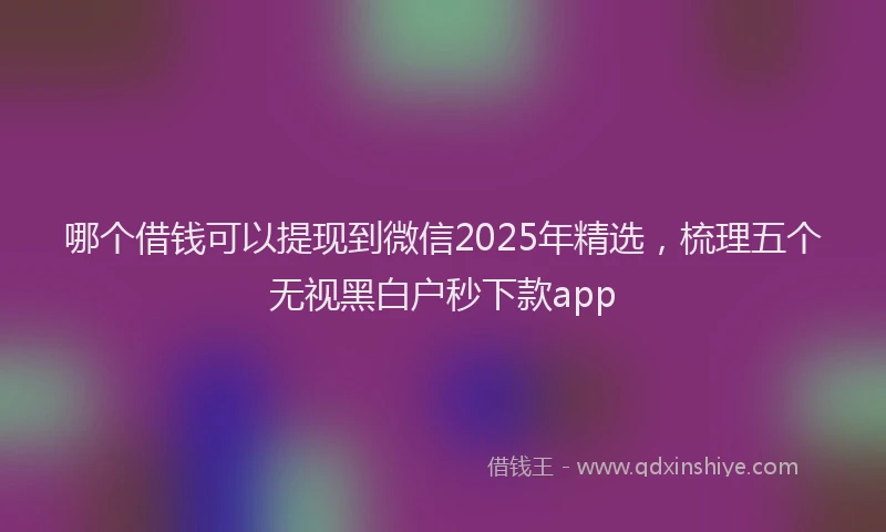 哪个借钱可以提现到微信2025年精选，梳理五个无视黑白户秒下款app