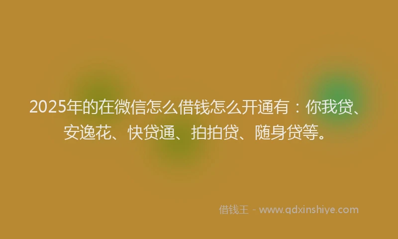 2025年的在微信怎么借钱怎么开通有：你我贷、安逸花、快贷通、拍拍贷、随身贷等。