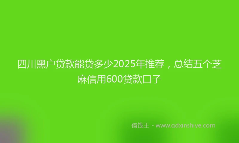 四川黑户贷款能贷多少2025年推荐，总结五个芝麻信用600贷款口子