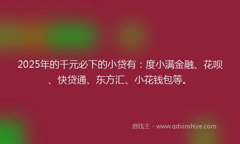 2025年的千元必下的小贷有：度小满金融、花呗、快贷通、东方汇、小花钱包等。