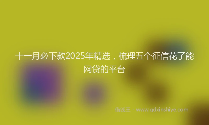十一月必下款2025年精选，梳理五个征信花了能网贷的平台