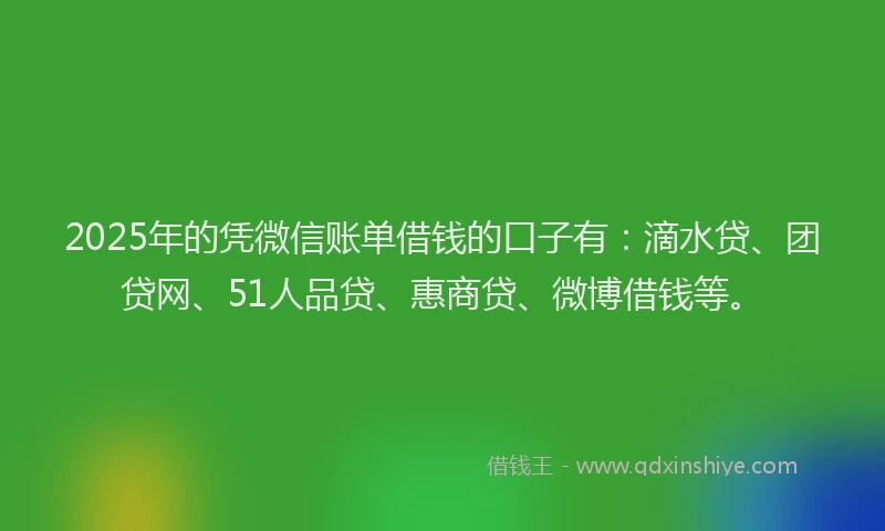 2025年的凭微信账单借钱的口子有：滴水贷、团贷网、51人品贷、惠商贷、微博借钱等。