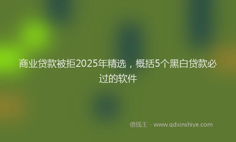 商业贷款被拒2025年精选，概括5个黑白贷款必过的软件