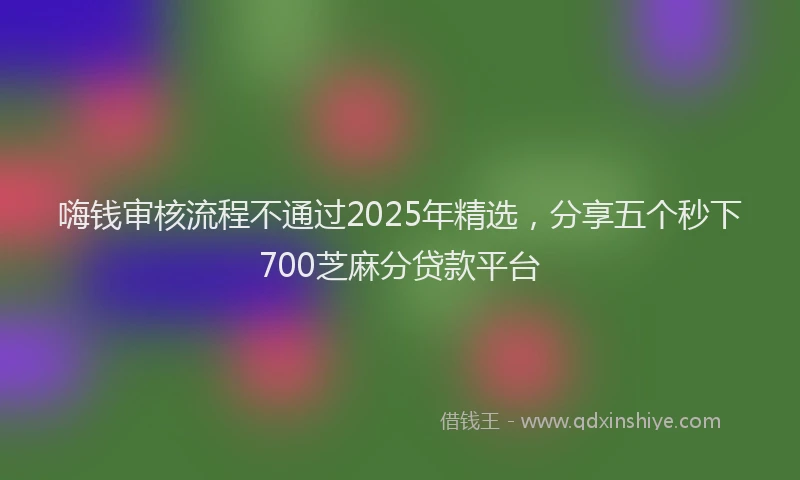 嗨钱审核流程不通过2025年精选，分享五个秒下700芝麻分贷款平台
