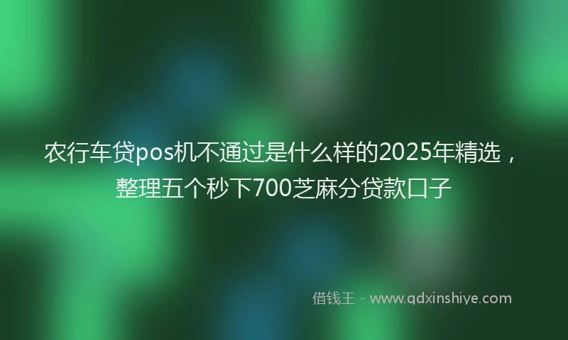 农行车贷pos机不通过是什么样的2025年精选，整理五个秒下700芝麻分贷款口子