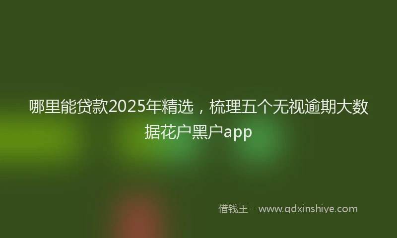 哪里能贷款2025年精选，梳理五个无视逾期大数据花户黑户app