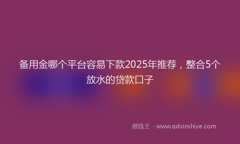 备用金哪个平台容易下款2025年推荐，整合5个放水的贷款口子
